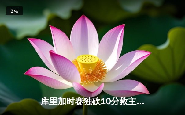 库里加时赛独砍10分救主，勇士主场险胜凯尔特人扳平总比分 - 2
